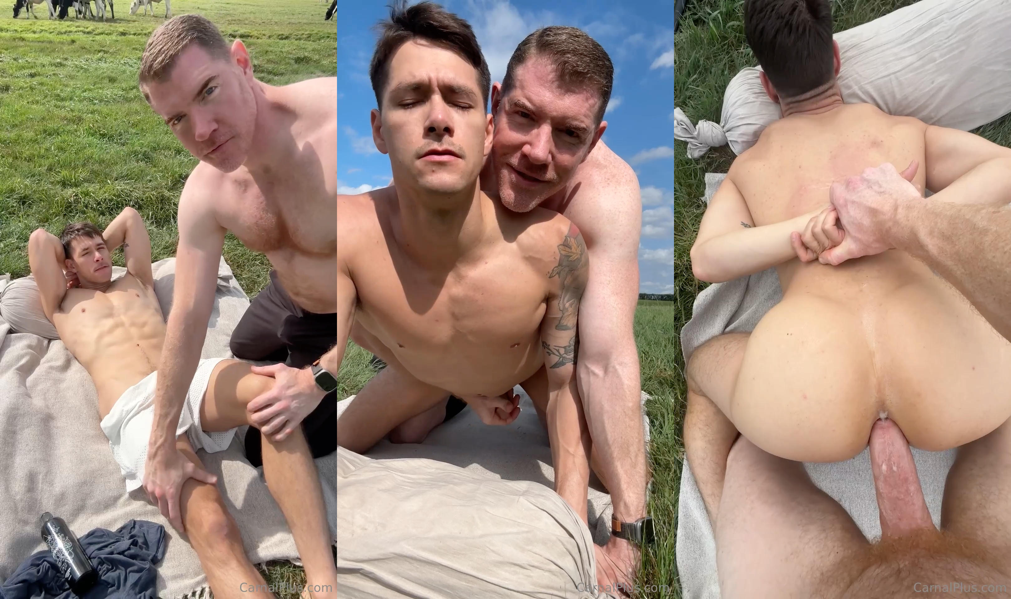Legrand Wolf fucks Zander Woodz (zanderwoodz)