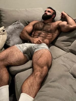 Photo of Persian Alpha Wolf (alphatopwolf22)