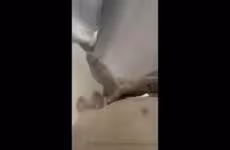 onlytwinks thumbnail for Jerking my big cock in the shower – Steele Foster (Steele.Foster)