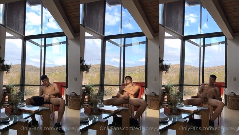 onlytwinks thumbnail for ediporeyy jerks off with a view